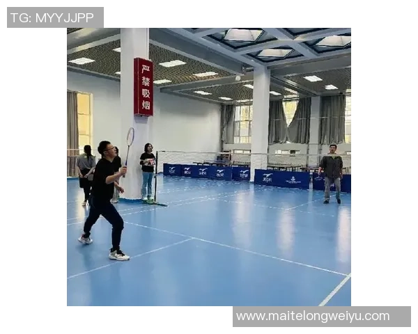 北京羽毛球队灵活性深度对比分析及其影响因素探讨MBA