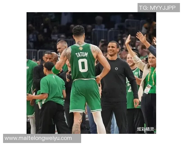 凯尔特人与公牛季后赛对决精彩回顾与分析
