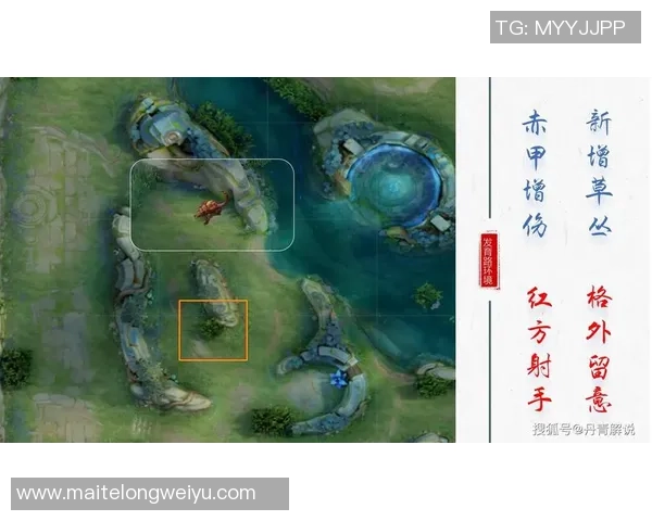 王者荣耀评论分析WE区域防守策略的成功与不足之处