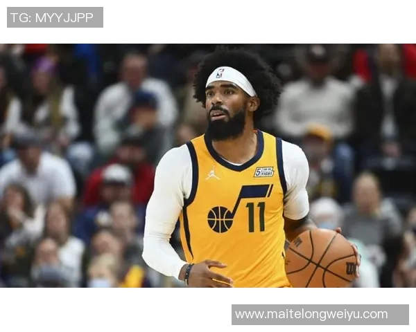 迈克康利的篮球传奇之路与职业生涯的辉煌成就分析