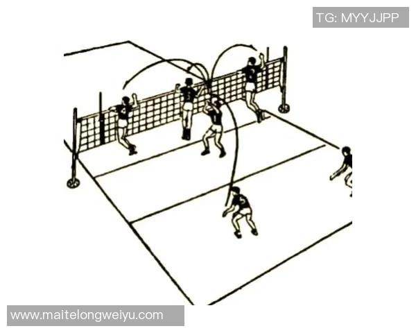 重庆排球队反击战术全解析深度剖析排球背后的策略与技巧