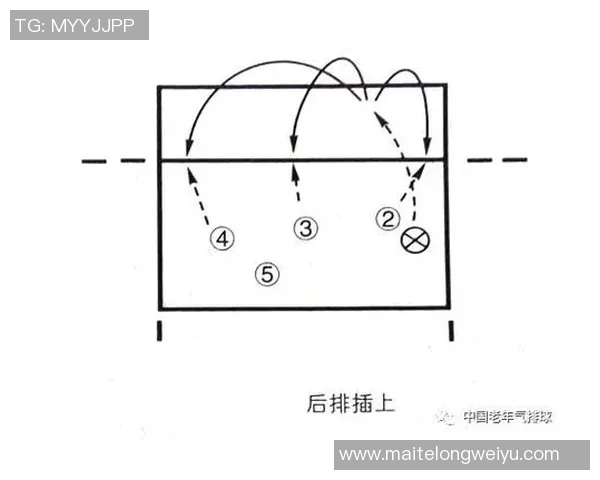 武汉排球队反击战术深度解析与实战应用探讨